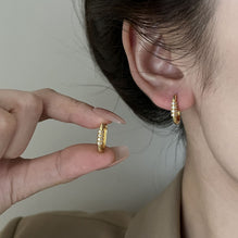 New Zircon Padlock-shaped Earrings For Women